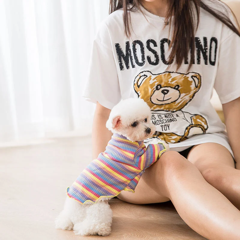 Knitted rainbow dog clothes