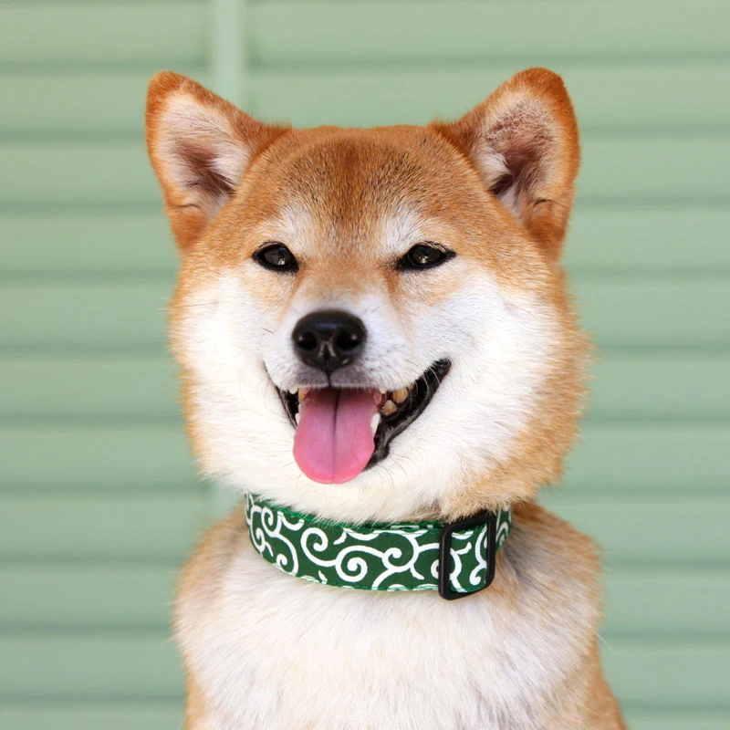 Tang grass pattern collar