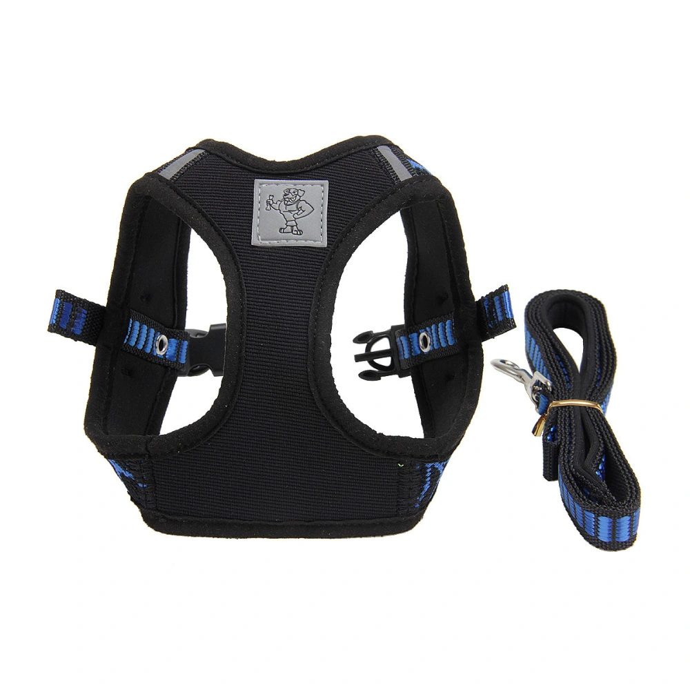 Portable cat care safety chest strap