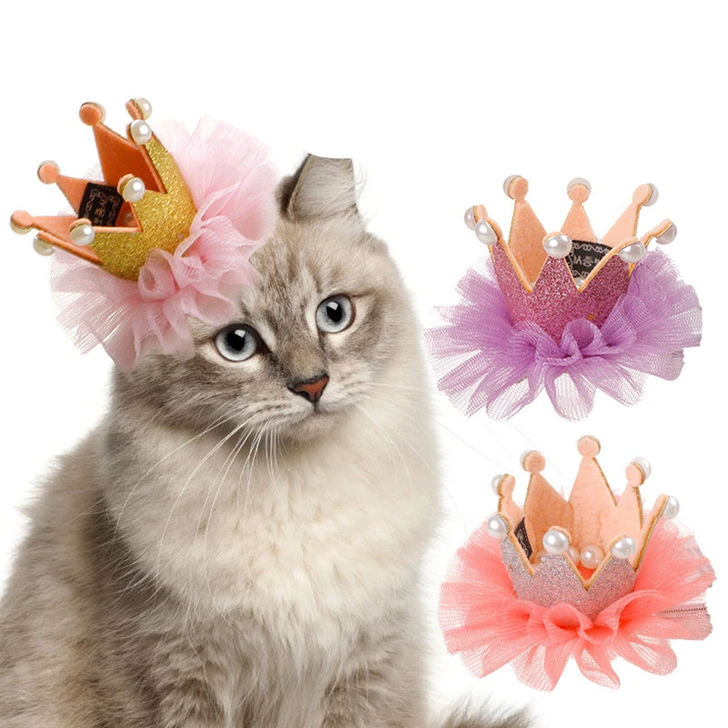 Fairy pet hat