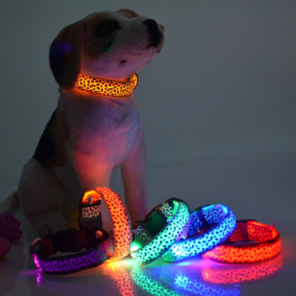 Rechargeable LED Flash Dog Band