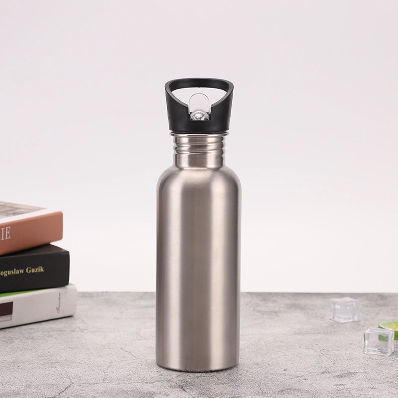 Portable sports cold water bottle