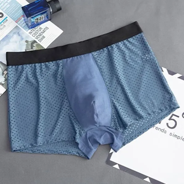 Ice Silk Men's Underwear Plus Size Boxer Briefs