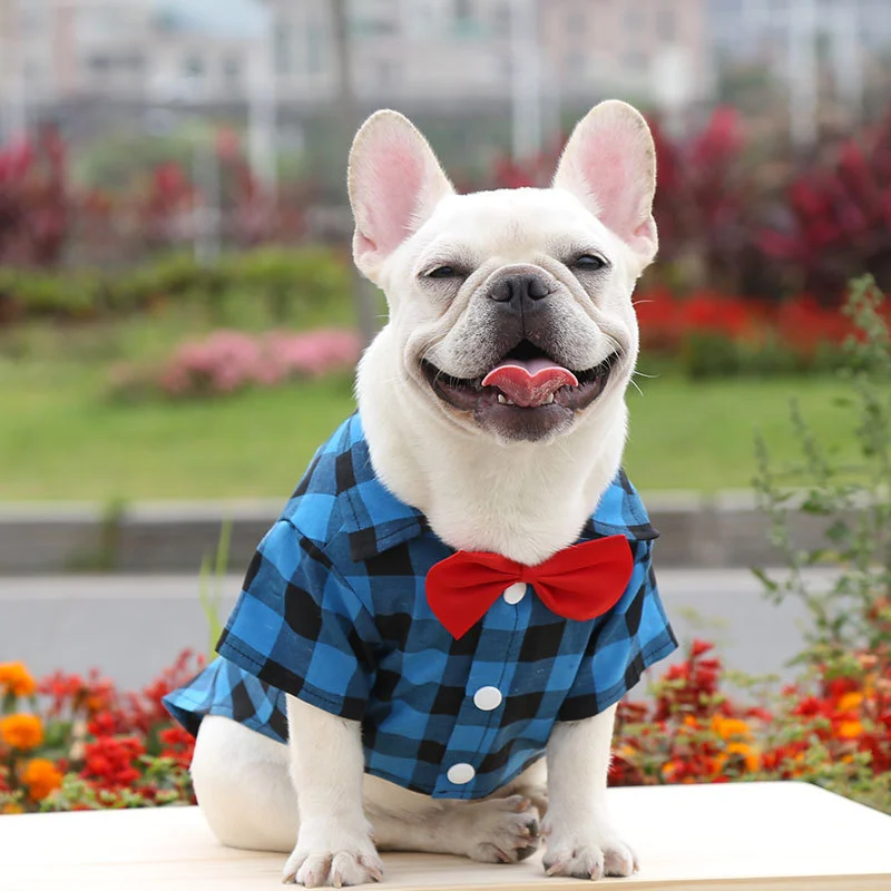 Dog Plaid Shirt Suit Wedding Dress Method Fighting Pug Small, Medium And Large Dog Pet Clothes Cat Spring Summer Autumn