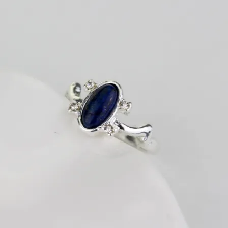 The Vampire Diaries Elena Same Ring