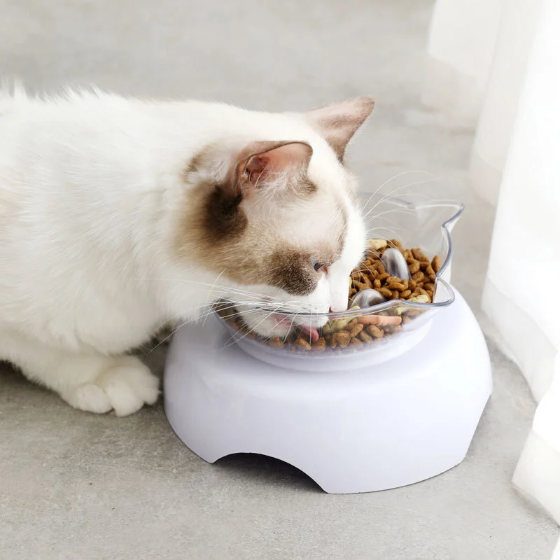 Oblique Mouth Protects The Cervical Spine Transparent Plastic Cat Bowl