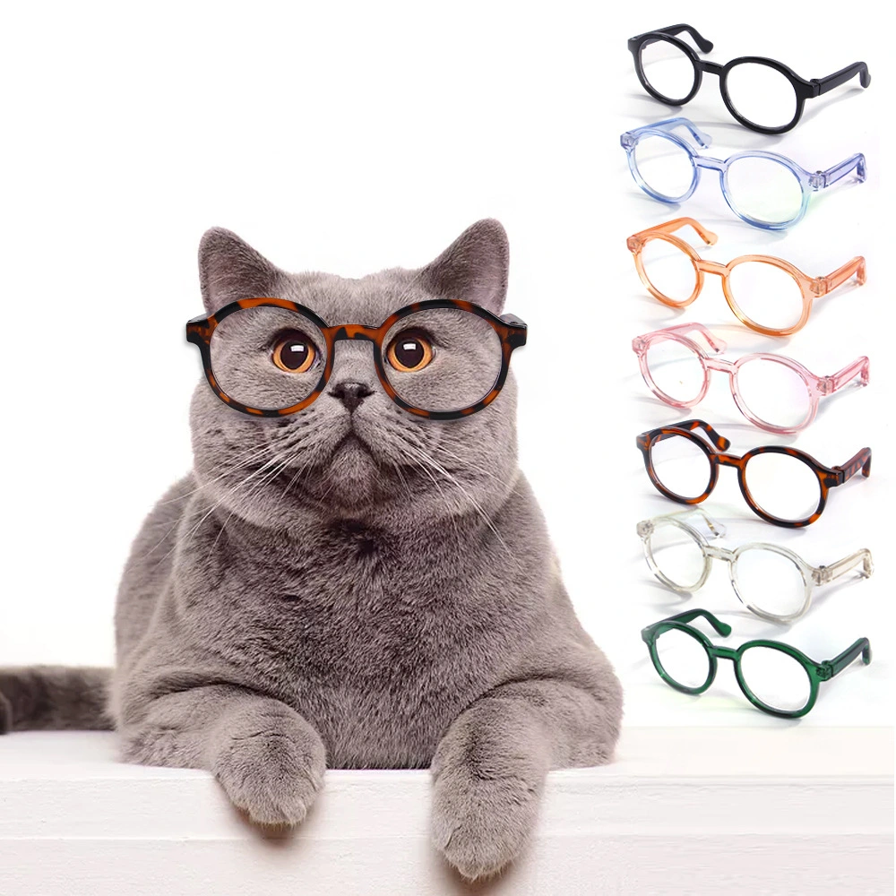 Plastic Transparent Cat Glasses