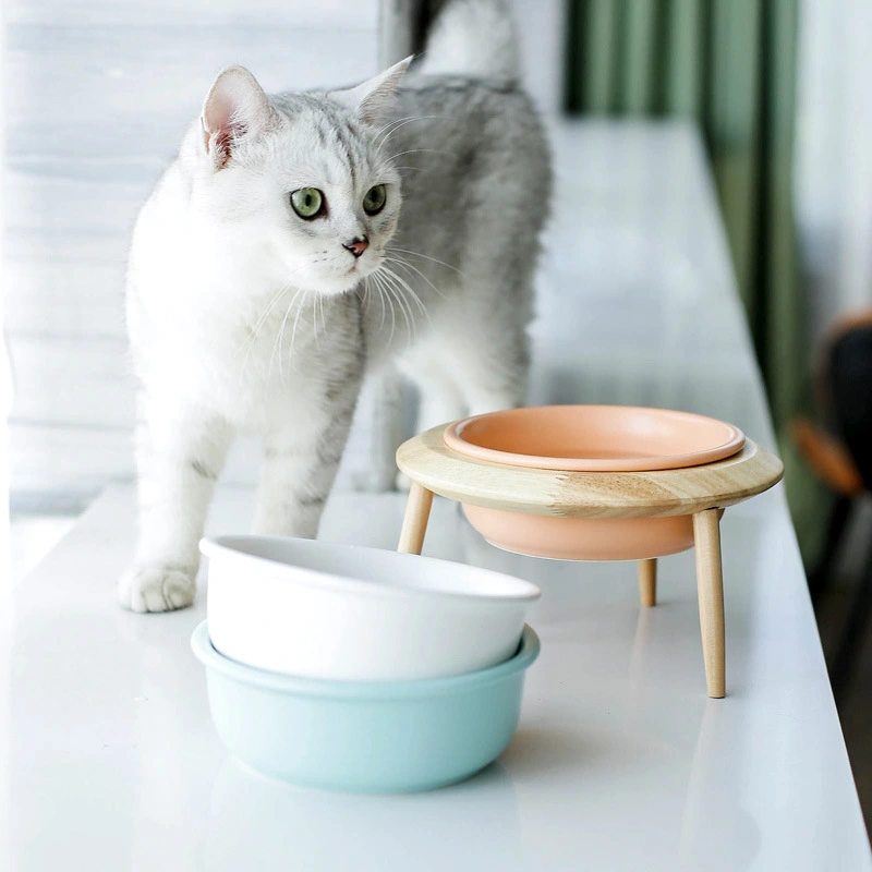 Ceramic cat bowl