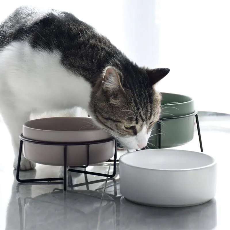 Metal frame ceramic pet bowl