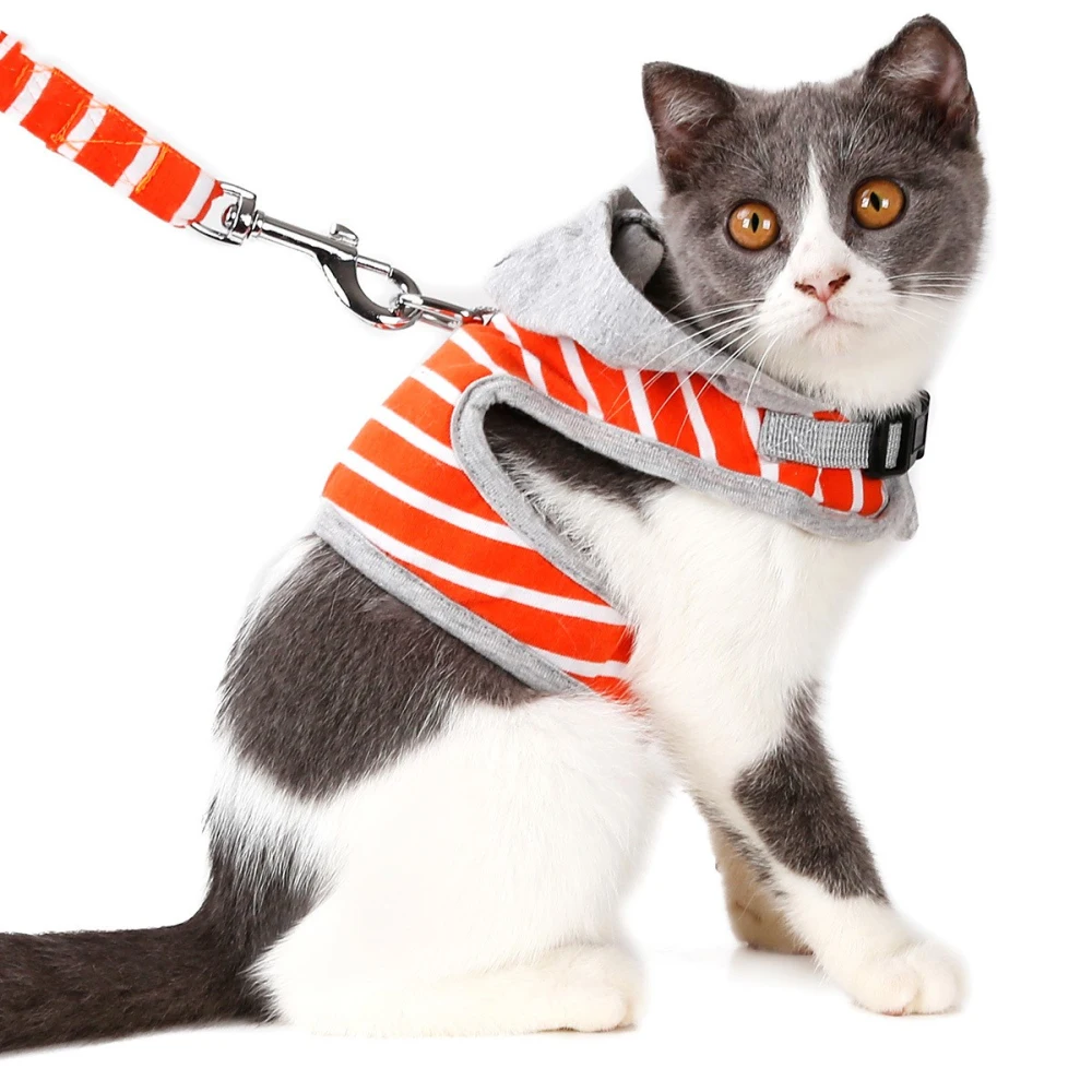 Cat hooded vest outing chest harness