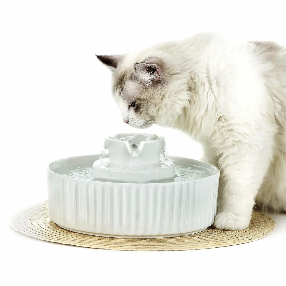 Cake ceramic pet water dispenser