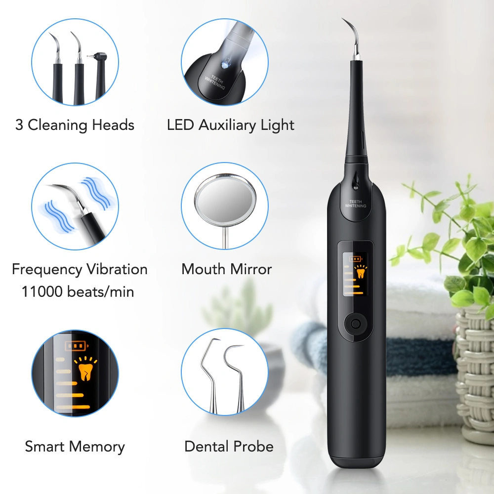 Household Portable Electric Dental Scaler