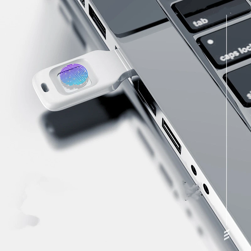 Fingerprint Input Into Encrypted U Disk