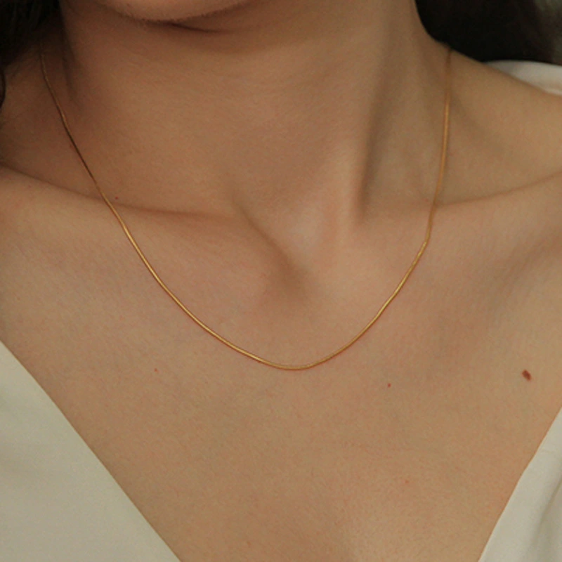 Round Snake Bone Chain Female Cold Wind Thin Clavicle Chain Stacking Copper Plated Real Gold