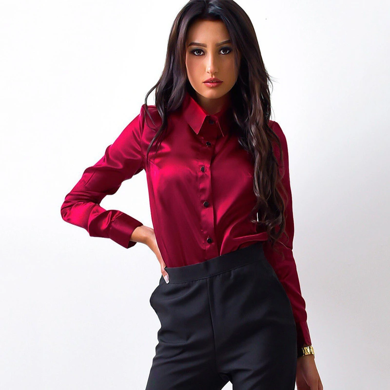 Small Shirt Long Sleeved Lapel Button Top Women's Clothing