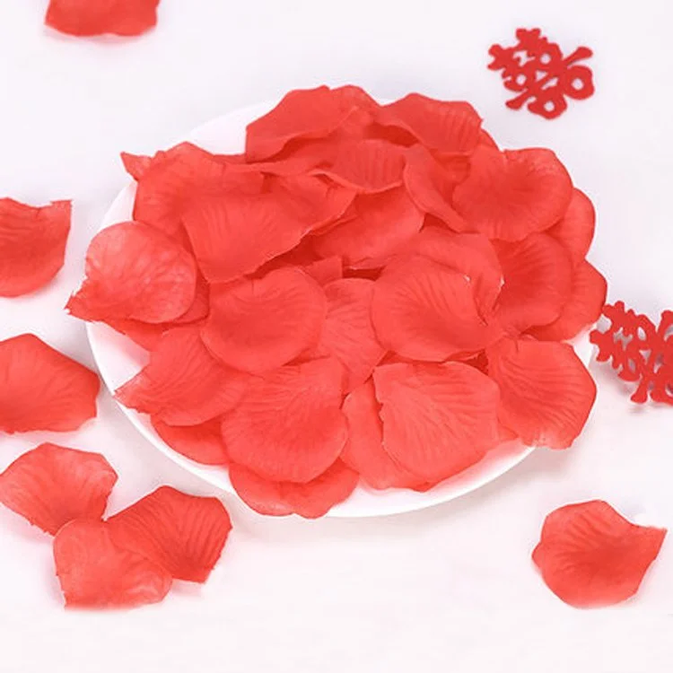 Simulation Rose Petals Marriage Proposal