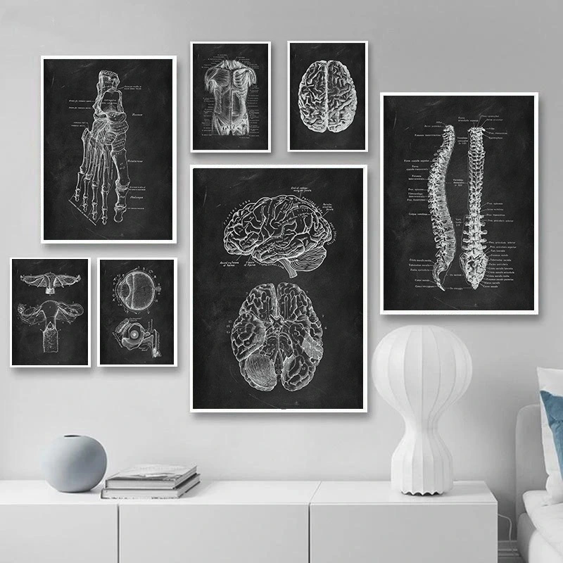 Canvas Painting Of Human Anatomy Skeleton Organ System