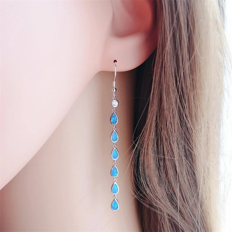 Tassel long drop earrings