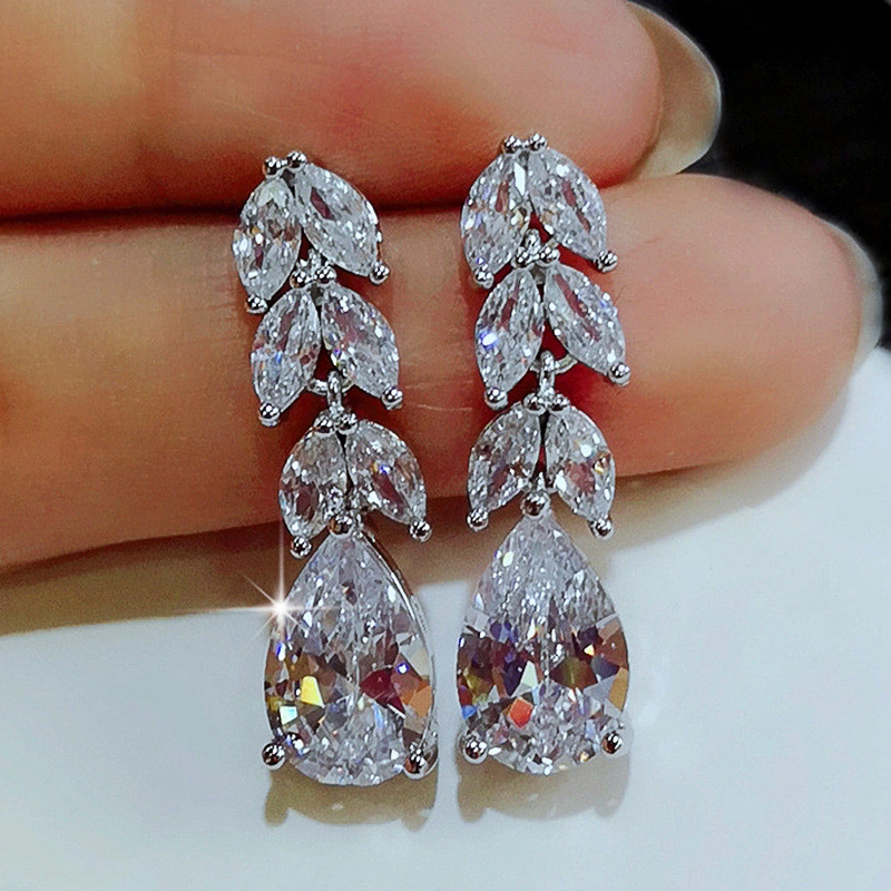 Tassel long zircon earrings