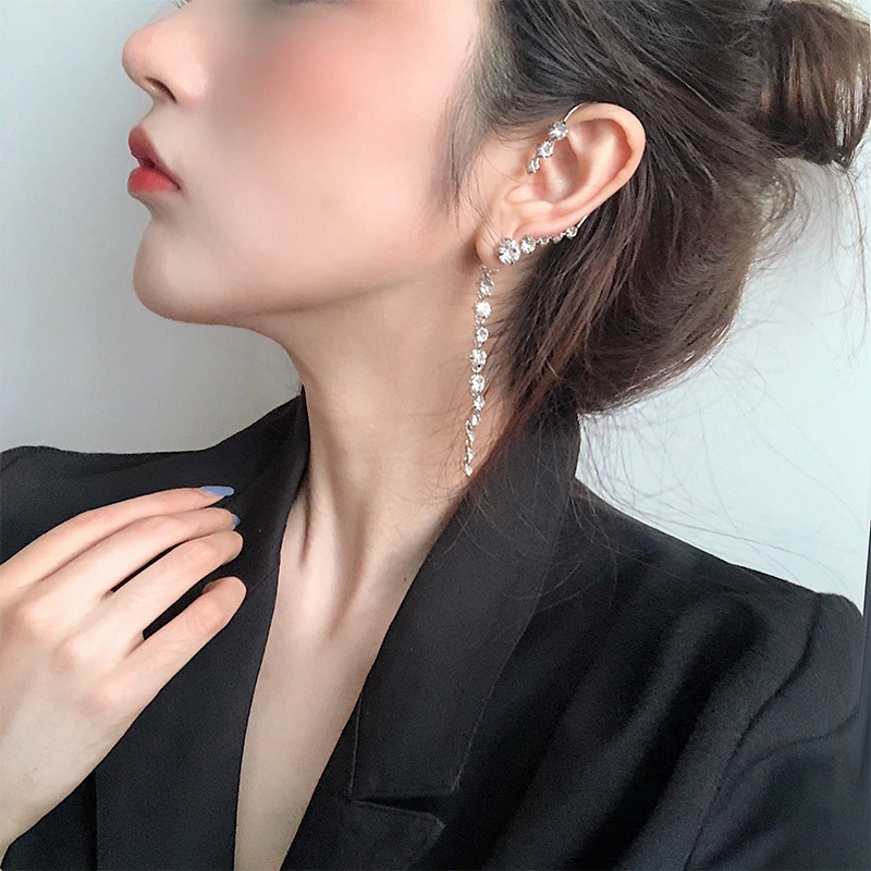 Korean long style net red earrings