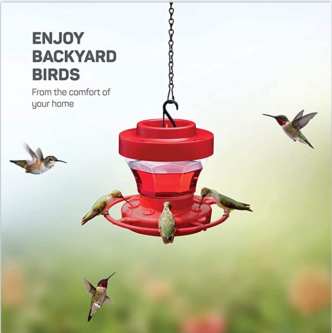 Feeder Bird Water Drinker Feeder Waterer