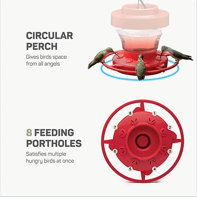Feeder Bird Water Drinker Feeder Waterer