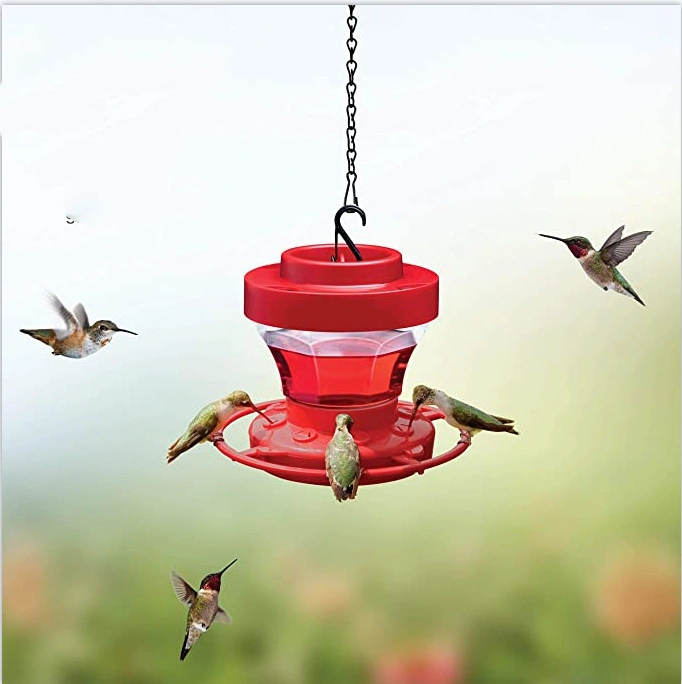 Feeder Bird Water Drinker Feeder Waterer