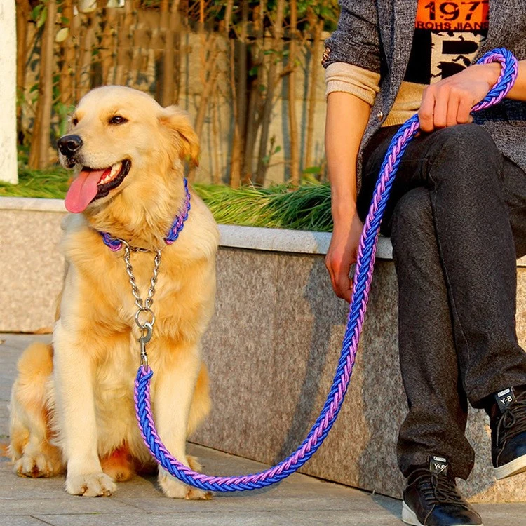 Pet Leash Medium And Large Dog Golden Retriever Dog Chain