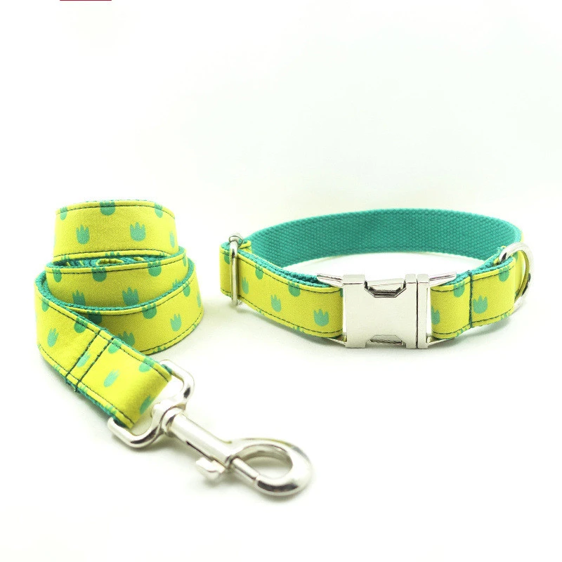 Dog Collar Leash Set Labrador