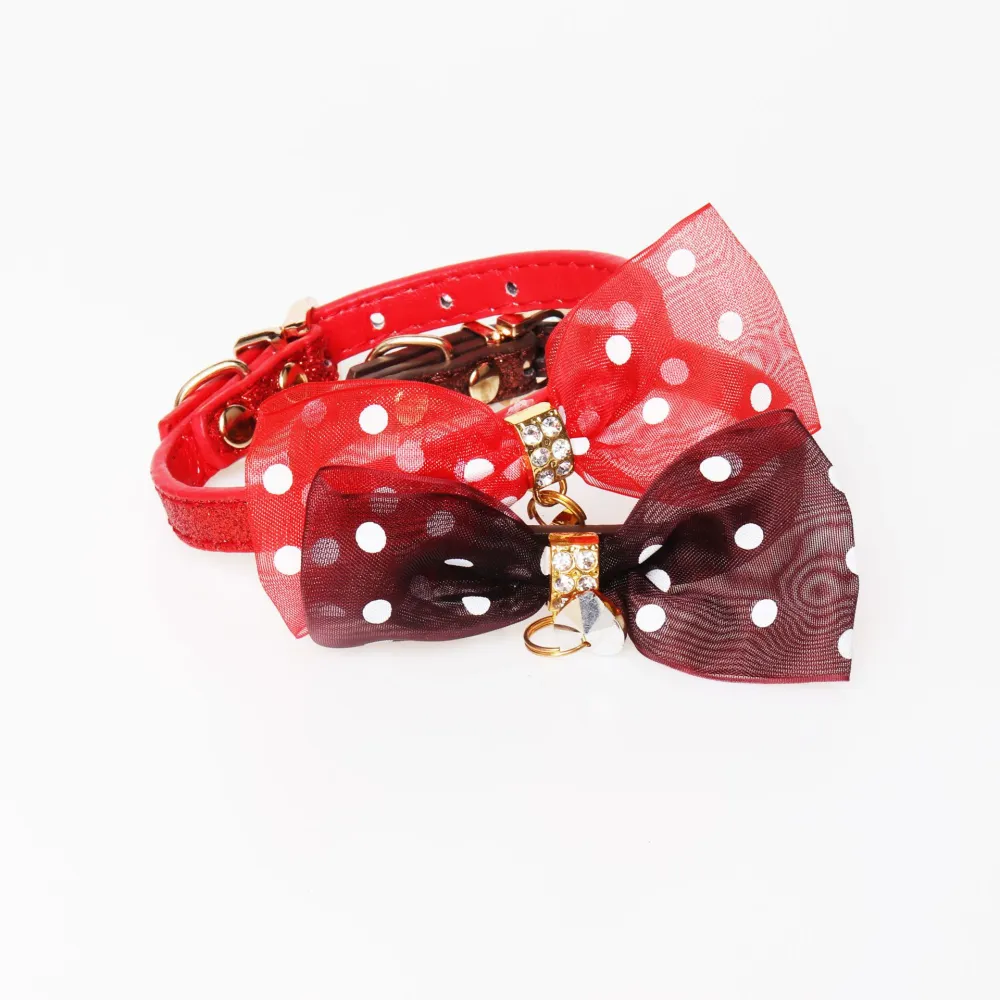 Bright Colors Collar