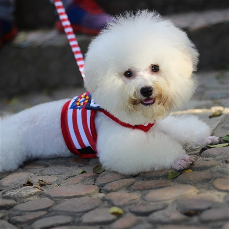Pet VIP Chest Strap Set