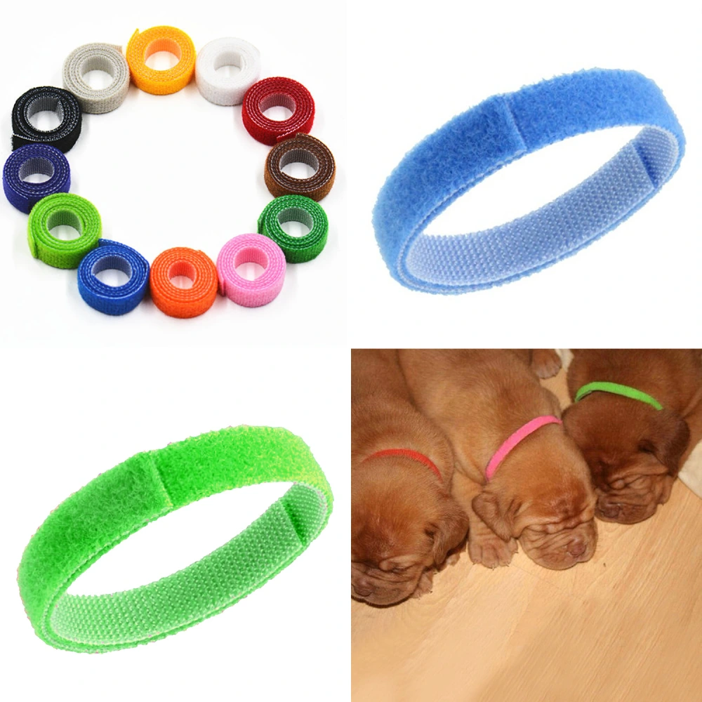 Pet Simple Collar Velcro Identification Collar Kitten And Puppy ID Collar