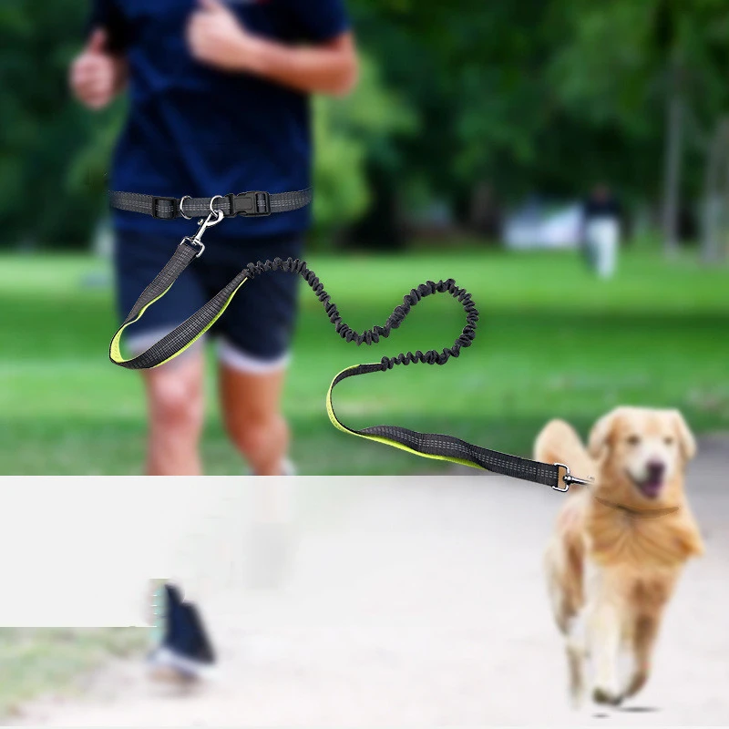 Dog Walking Belt Detachable Section Of Telescopic Shockproof Dual-purpose Traction Rope