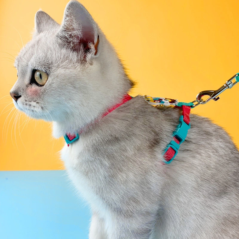 Cat Traction Rope To Prevent Small Dogs From Breaking Free