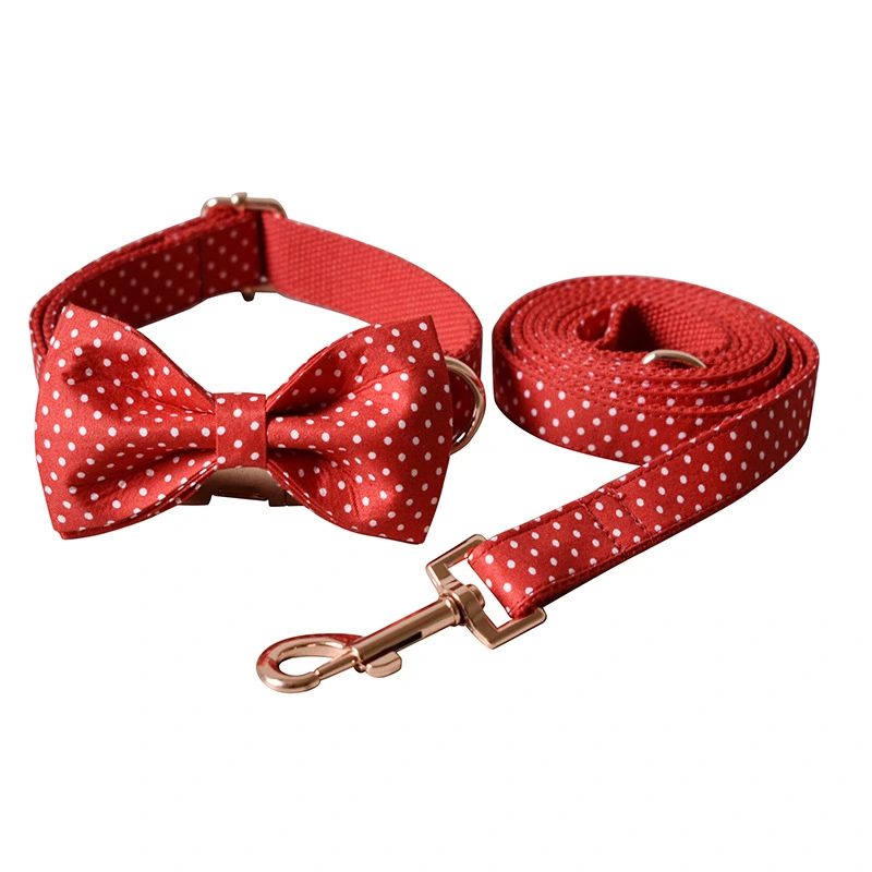 Red Dot Dog Leash Supply Pet Supplies Collar