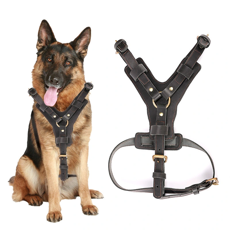 Cowhide Chest Back Pet Supplies Dog Automatic Traction Rope Chest Harness Set Pet Traction Rope