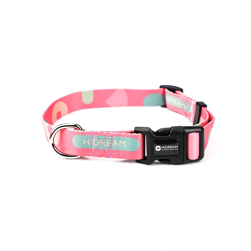 Pet dog collar leash