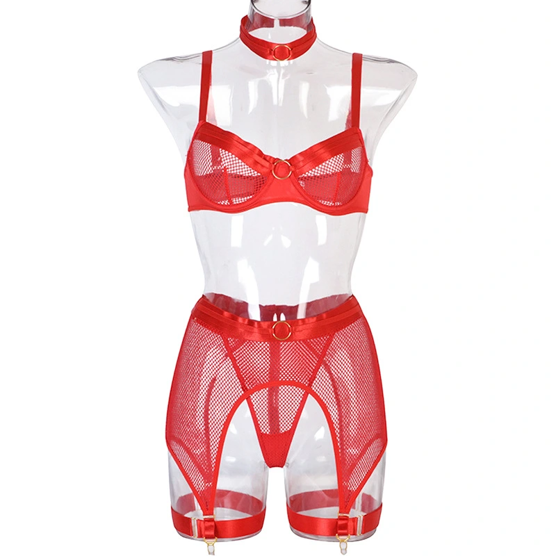 AliExpress Hot Sale European And American Sexy Underwear Four-piece Mesh