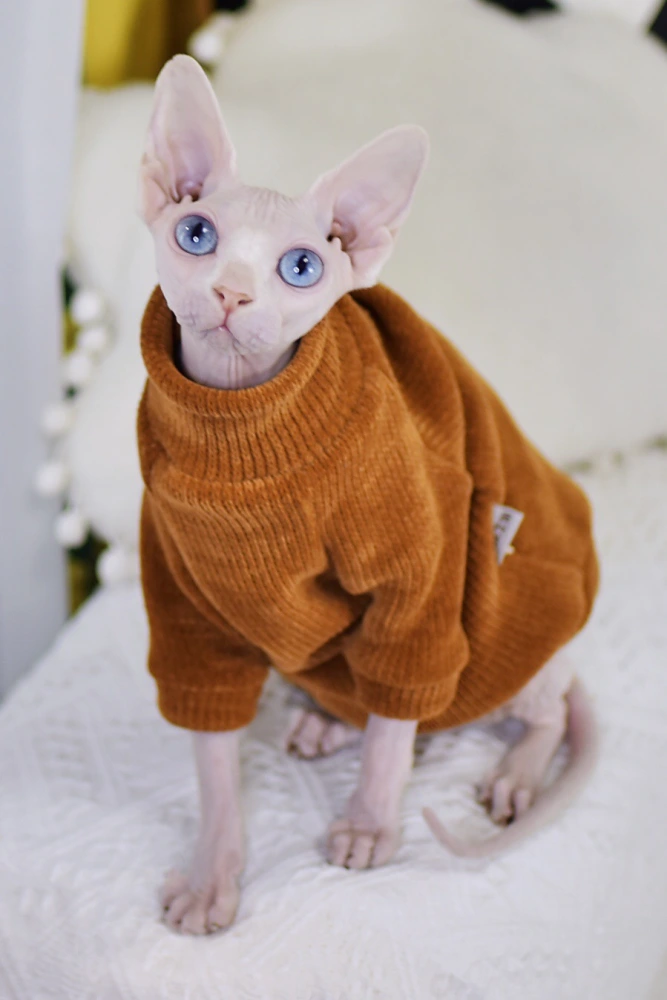 Neil Rong Sphinx Hairless Cat Clothes