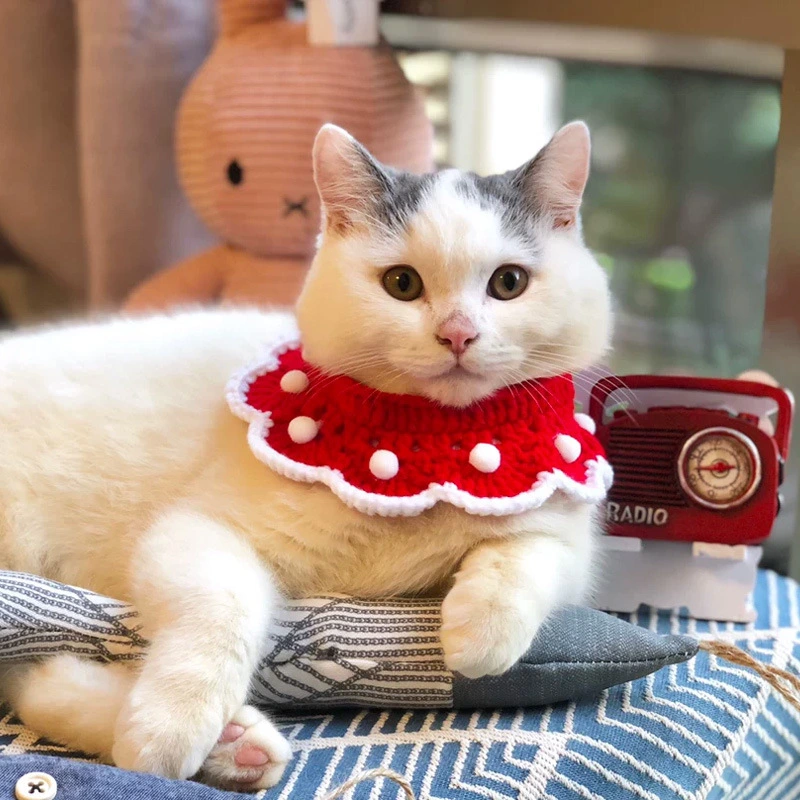 Pet Cats, Dogs, Rabbits, Knitted Collars, Christmas Ornaments, Saliva Towels