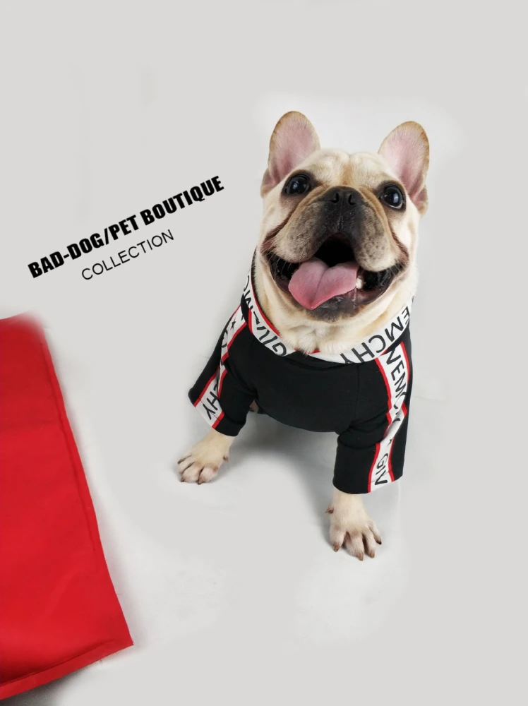 Dog clothes spring sweater