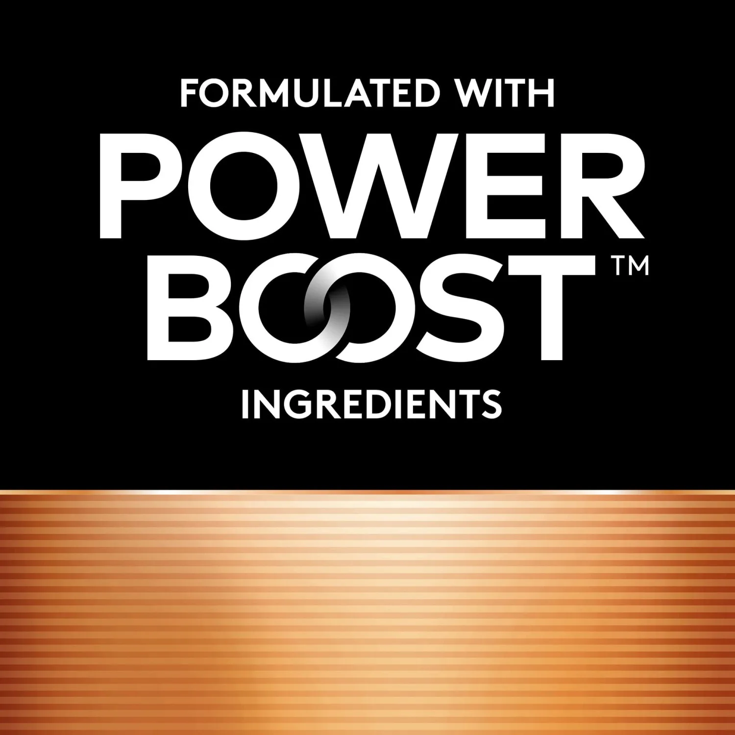 Duracell - CopperTop AAA Alkaline Batteries - long lasting, all-purpose Triple A battery for household and business - 12 Count (Pack of 1)