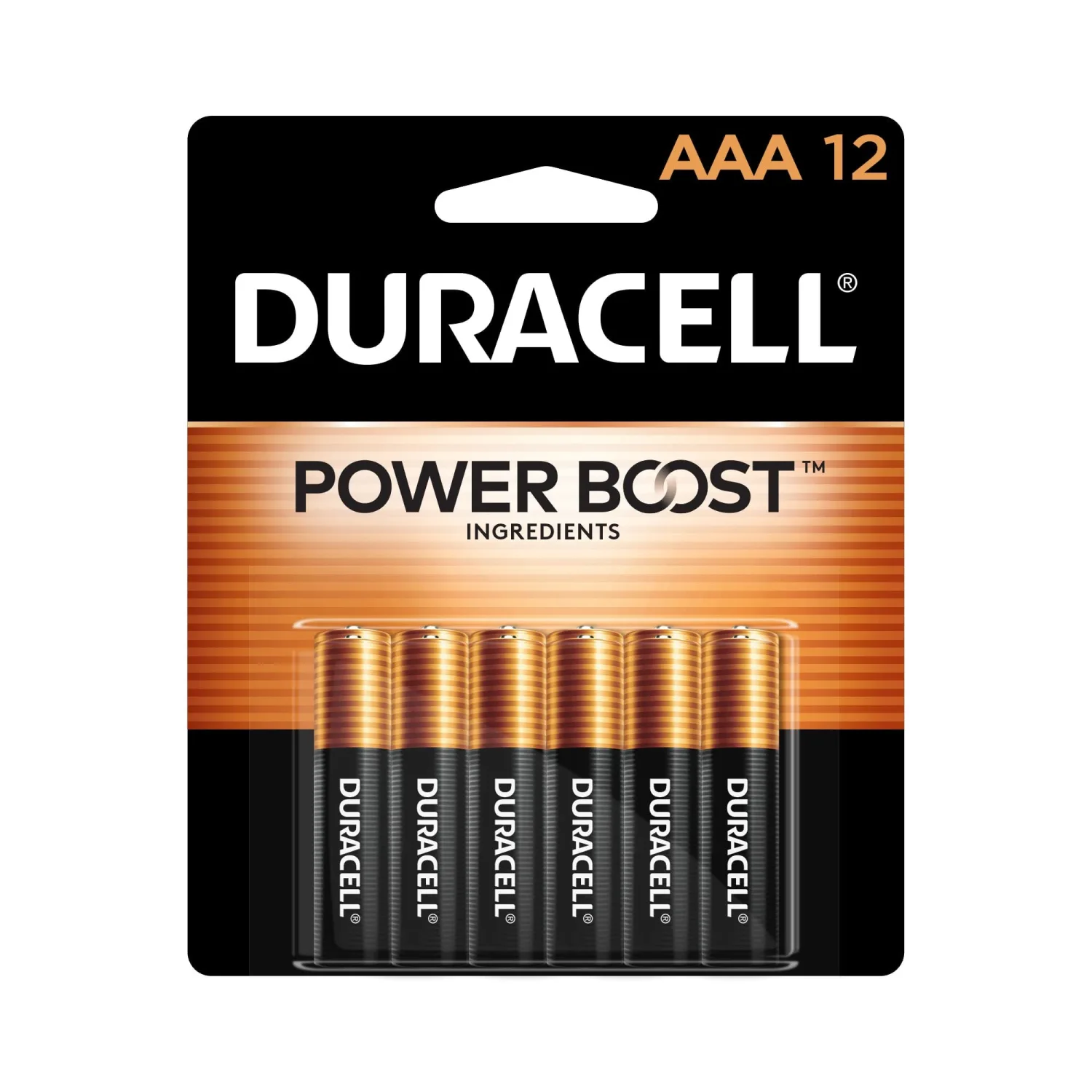 Duracell - CopperTop AAA Alkaline Batteries - long lasting, all-purpose Triple A battery for household and business - 12 Count (Pack of 1)