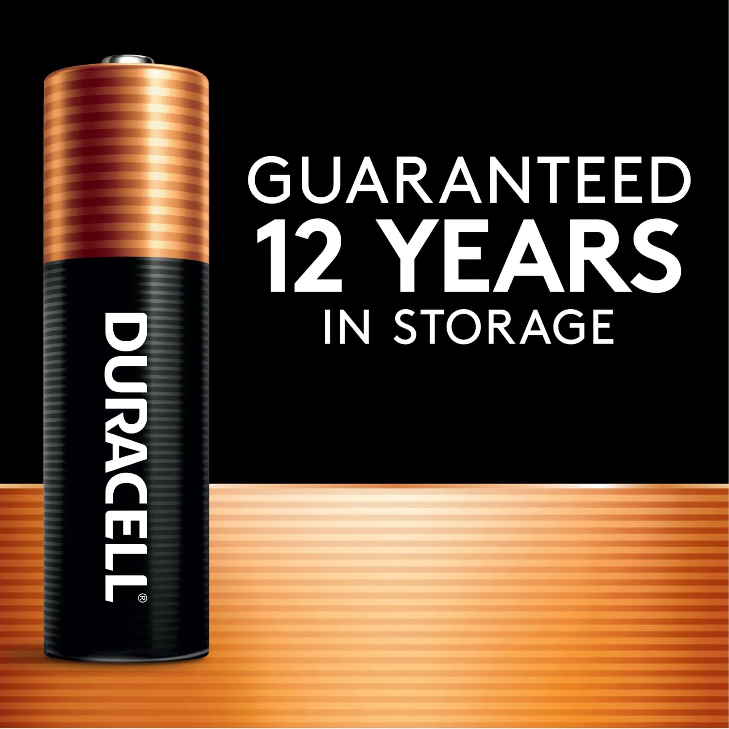 Duracell - CopperTop AAA Alkaline Batteries - long lasting, all-purpose Triple A battery for household and business - 12 Count (Pack of 1)