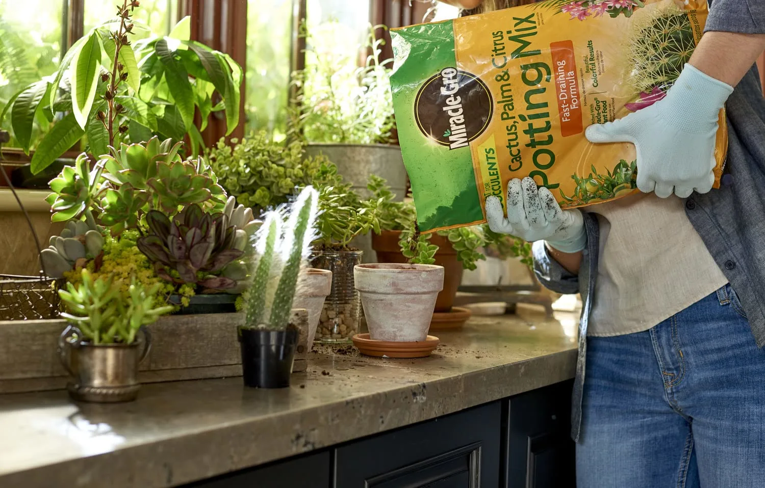 Miracle-Gro Cactus, Palm and Citrus Potting Mix, For Indoor or Outdoor Container Plants, Great for Succulents, 8 qt.