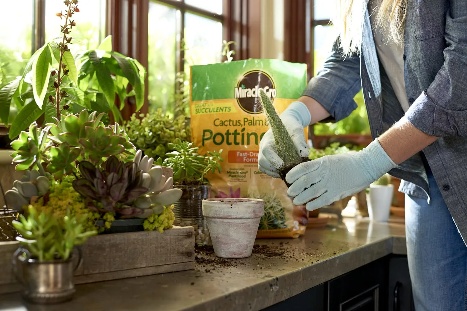 Miracle-Gro Cactus, Palm and Citrus Potting Mix, For Indoor or Outdoor Container Plants, Great for Succulents, 8 qt.