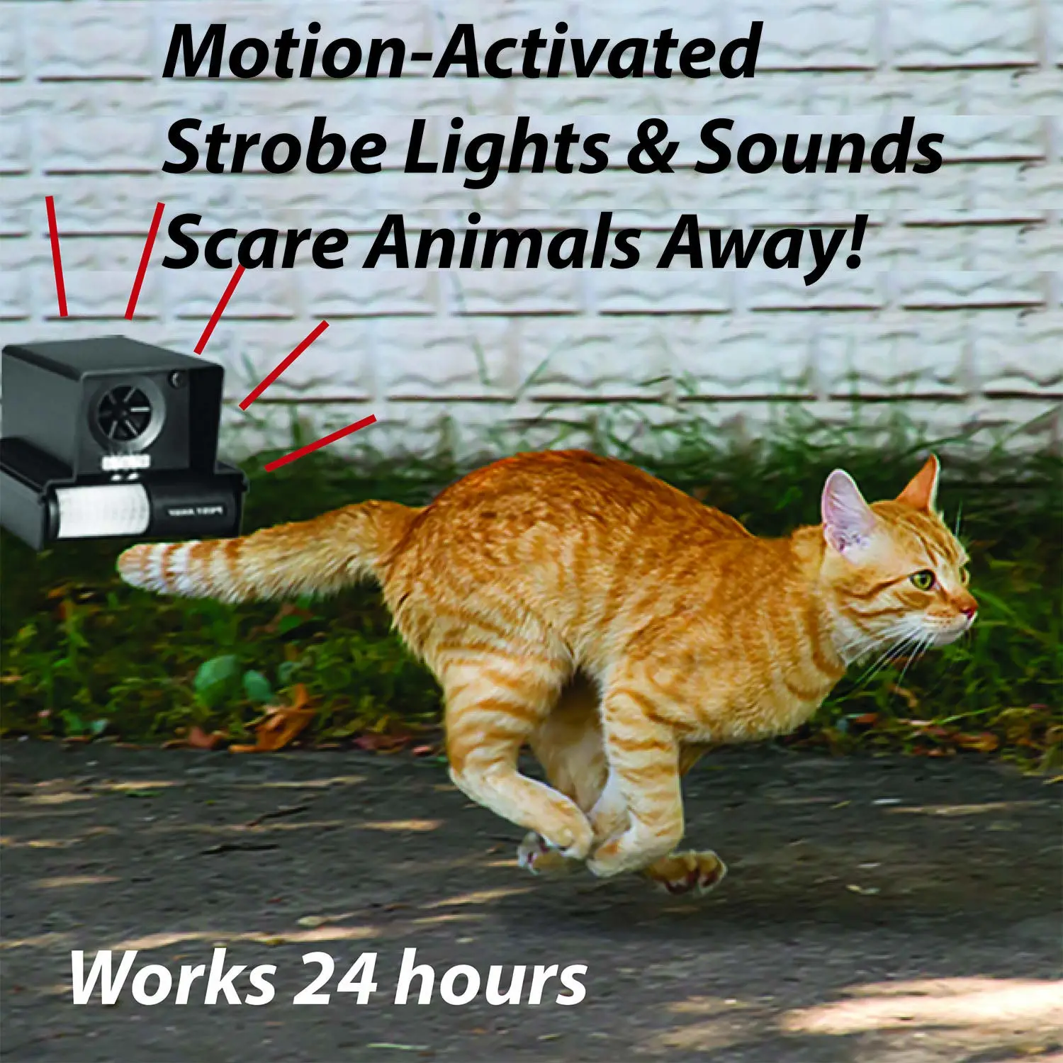 Predator Guard PestAway Ultrasonic Repeller - Motion Activated Lights & Noise Blasts Audible to Wild Animals Made to Repel Unwanted Creatures Away On Your Property, Waterproof Light Easy to Install