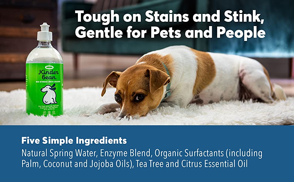 kinderbean pet odor stain remover enzymatic