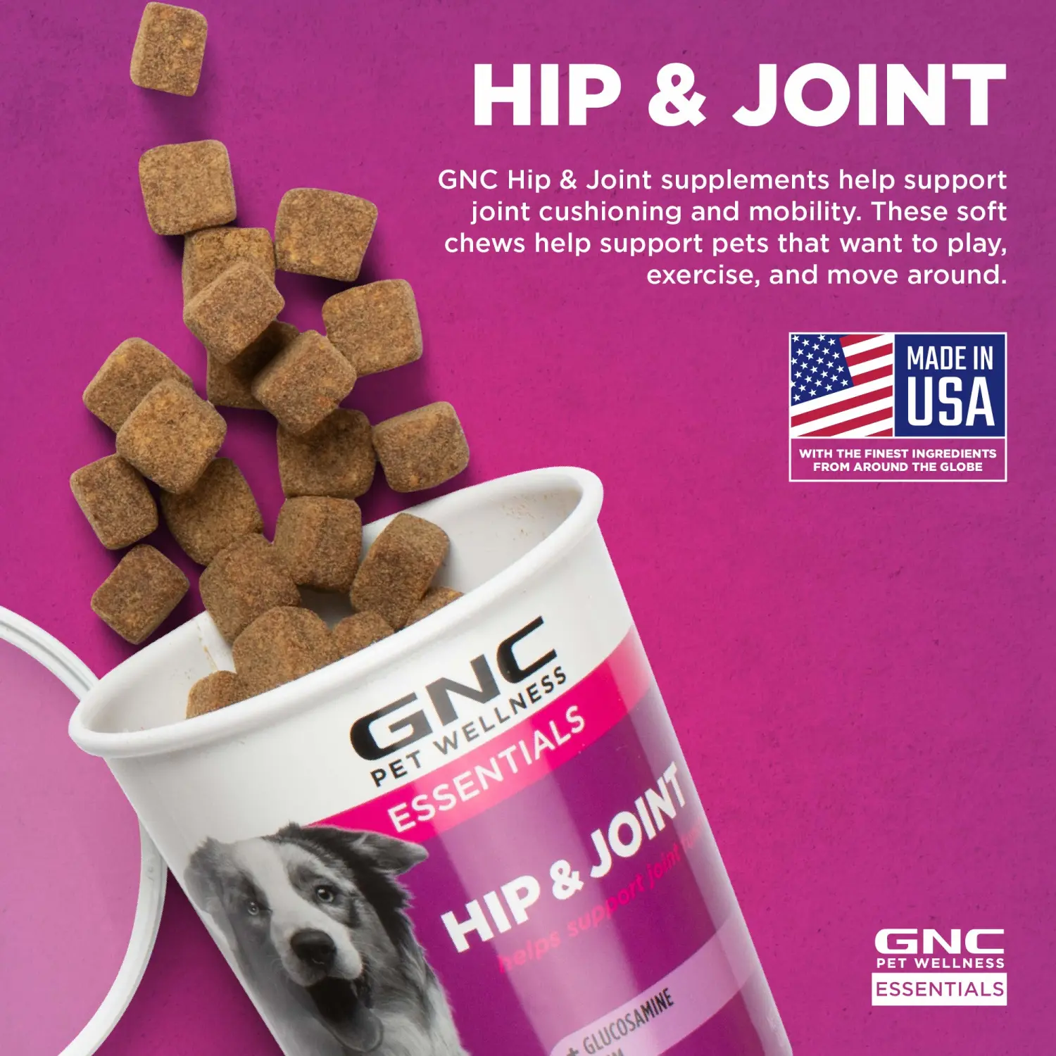 GNC for Pets Essentials Hip & Joint Supplement for Dogs | 60 ct Soft Chew Hip Joint Supplement Soft Chews with Turmeric | Chicken Flavor Hip & Joint Supplement for Adult Dogs (FF15593)
