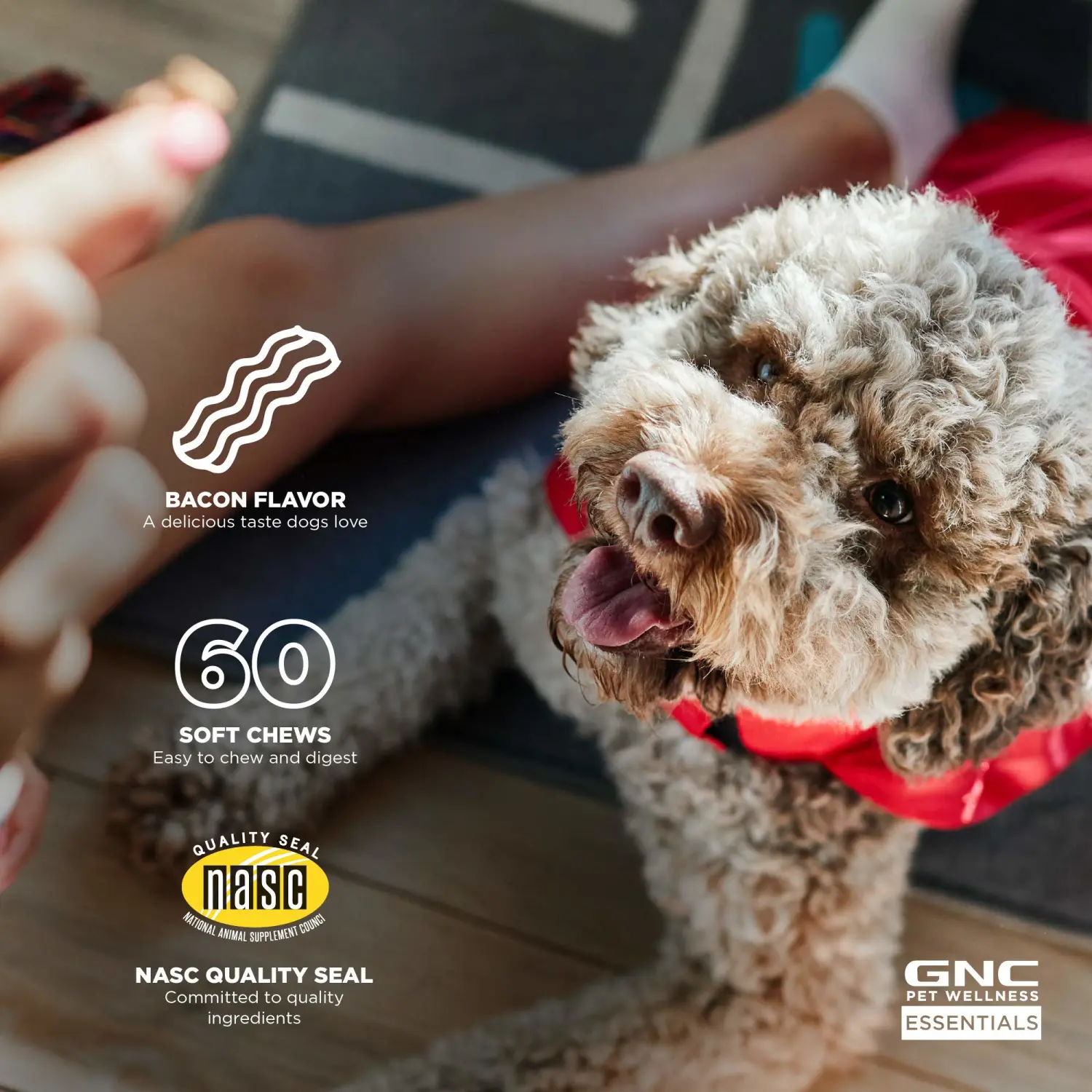 GNC for Pets Essentials Hip & Joint Supplement for Dogs | 60 ct Soft Chew Hip Joint Supplement Soft Chews with Turmeric | Chicken Flavor Hip & Joint Supplement for Adult Dogs (FF15593)